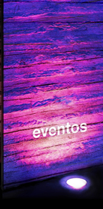 ORGANIZACION DE EVENTOS